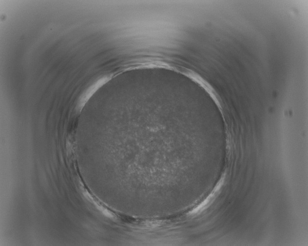 X0000074291385200609011356