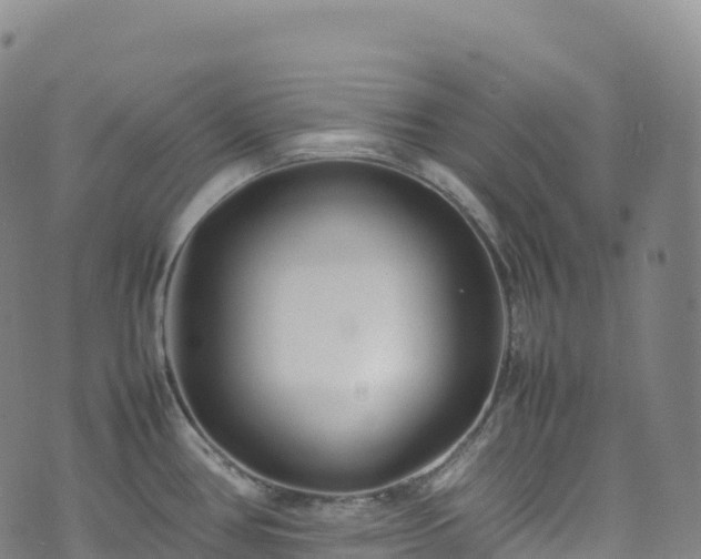 X0000074291386200609011356