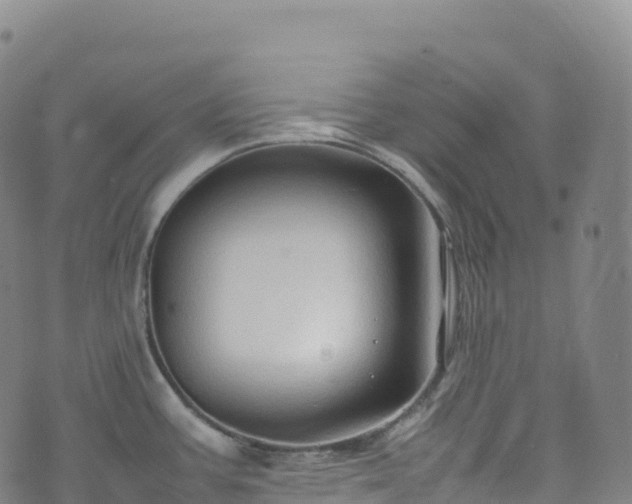 X0000074291387200609011356