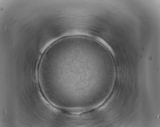 X0000074291388200609011356