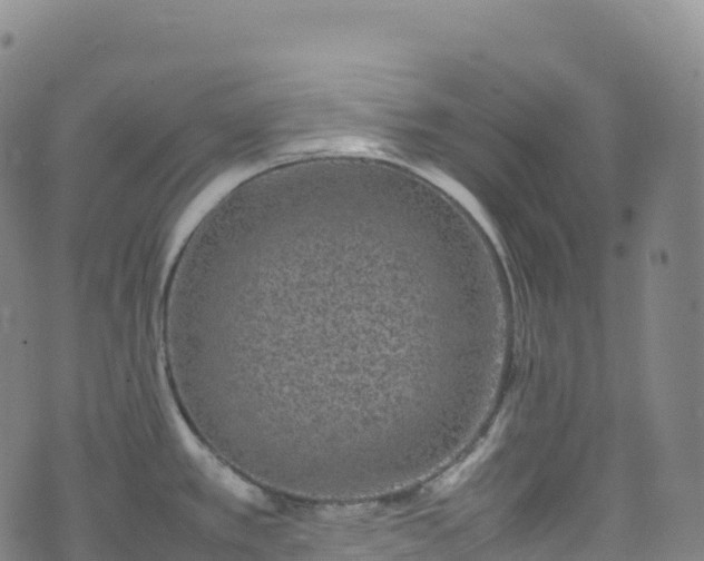 X0000074291389200609011356