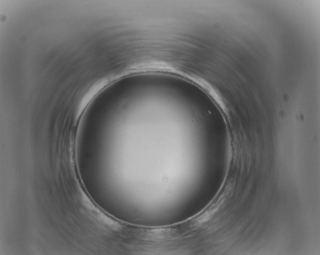 X0000074291390200609011356