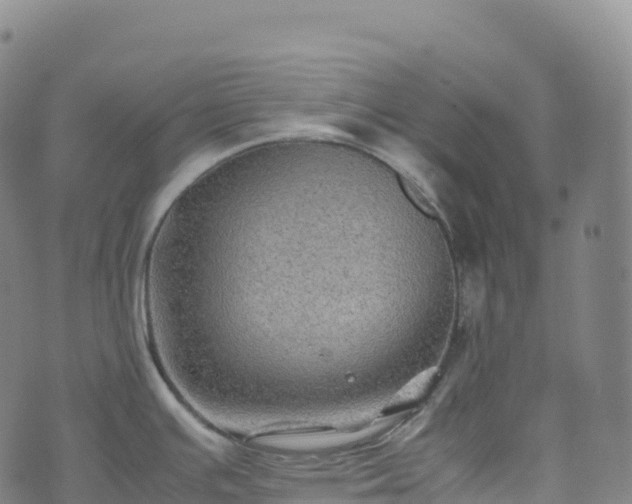 X0000074291391200609011356