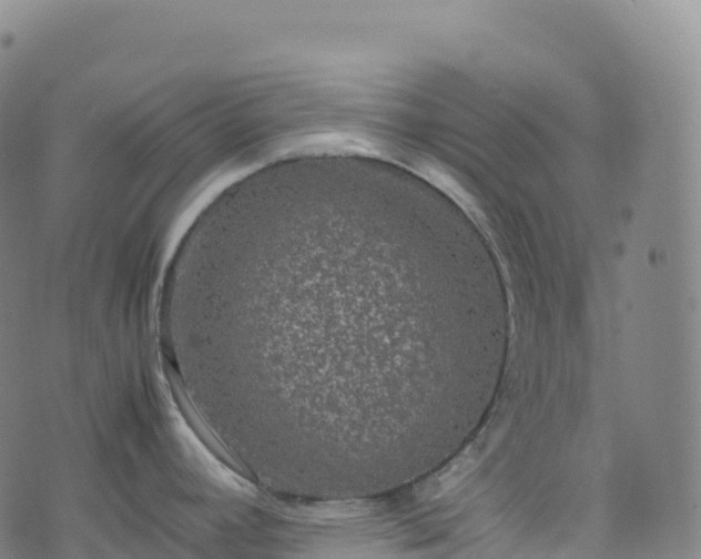 X0000074291392200609011356