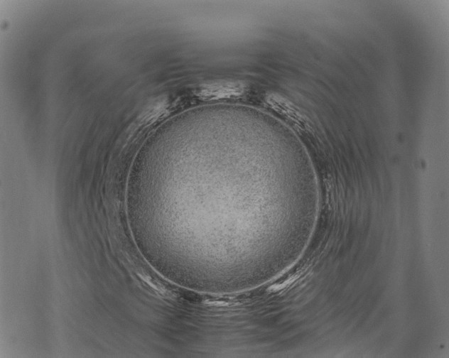 X0000074291393200609011355