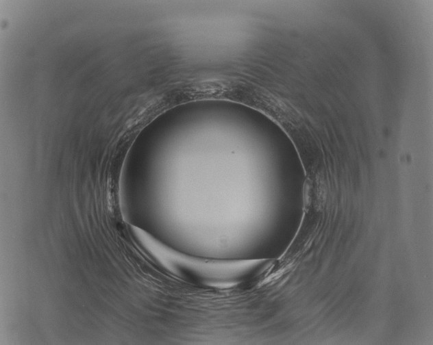 X0000074291394200609011355