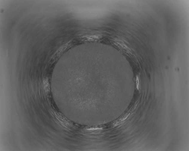 X0000074291395200609011355