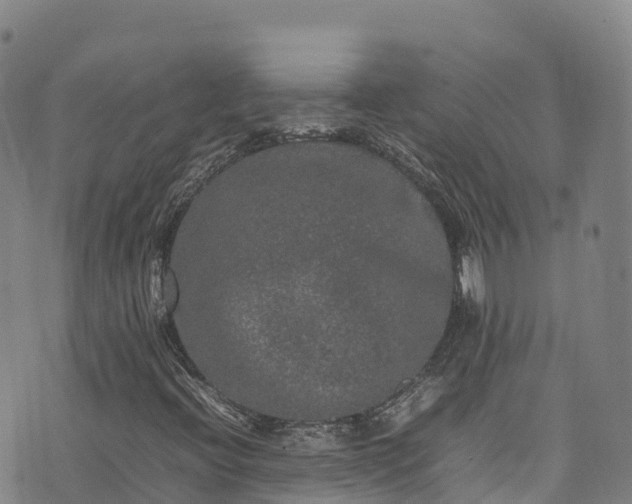 X0000074291396200609011355