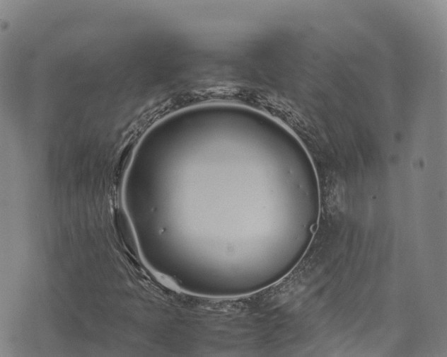 X0000074291397200609011355