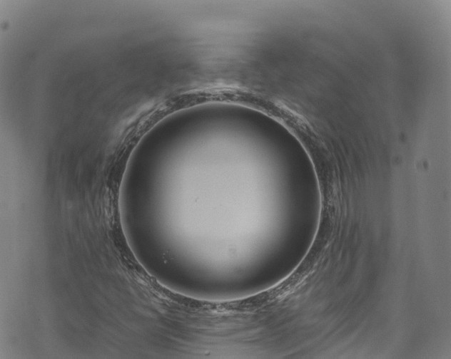 X0000074291398200609011355