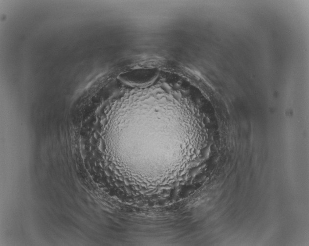 X0000074291399200609011355