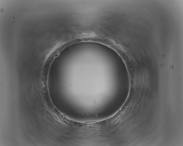 X0000074291400200609011355