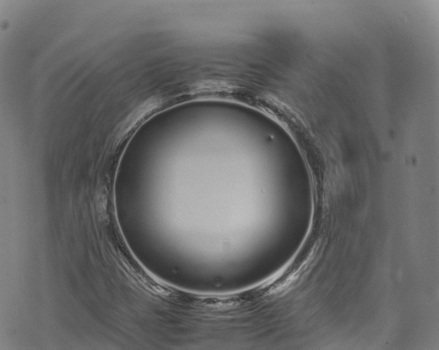 X0000074291401200609011355