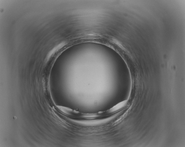 X0000074291402200609011355