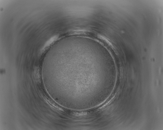 X0000074291403200609011355