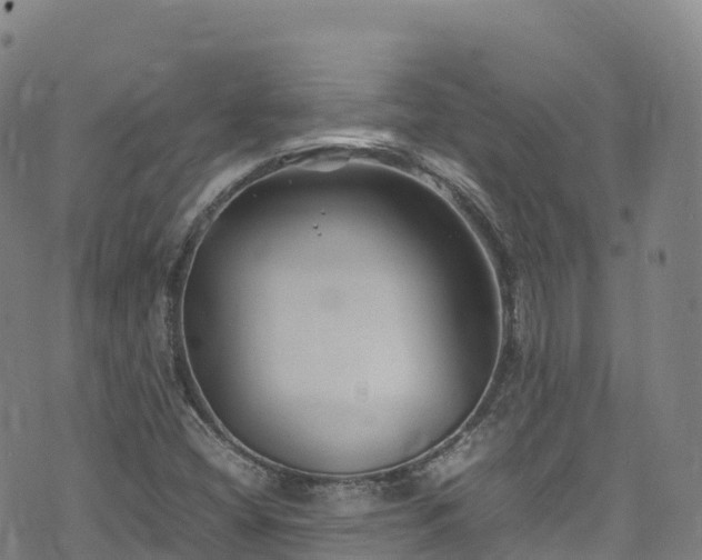 X0000074291404200609011355