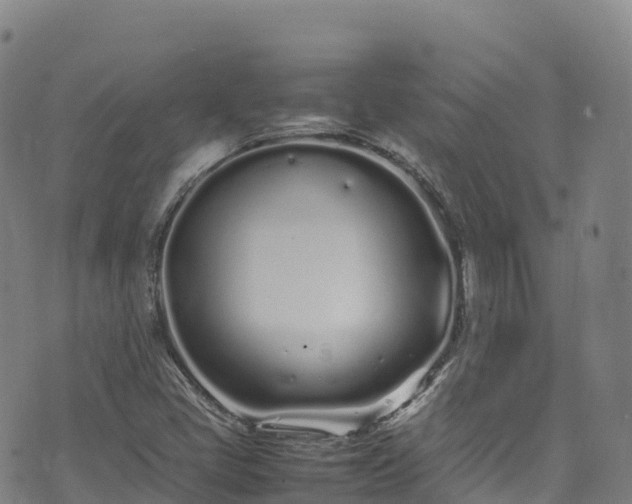 X0000074291405200609011355