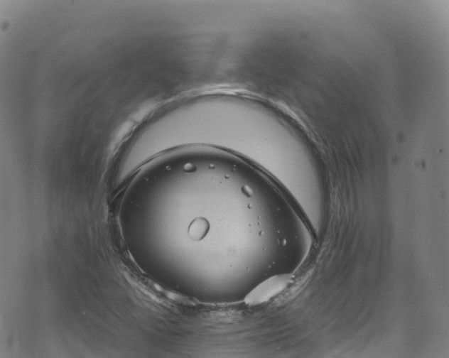 X0000074291406200609011355