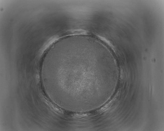 X0000074291407200609011355