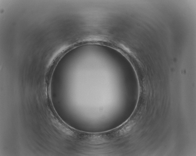 X0000074291408200609011355