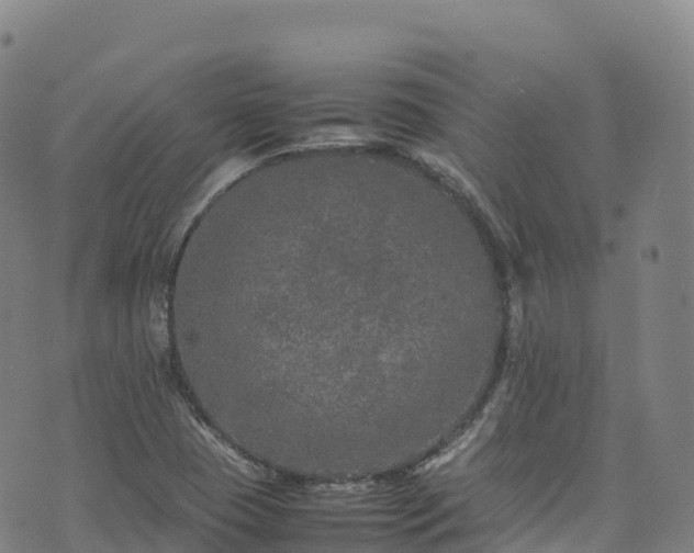 X0000074291409200609011355