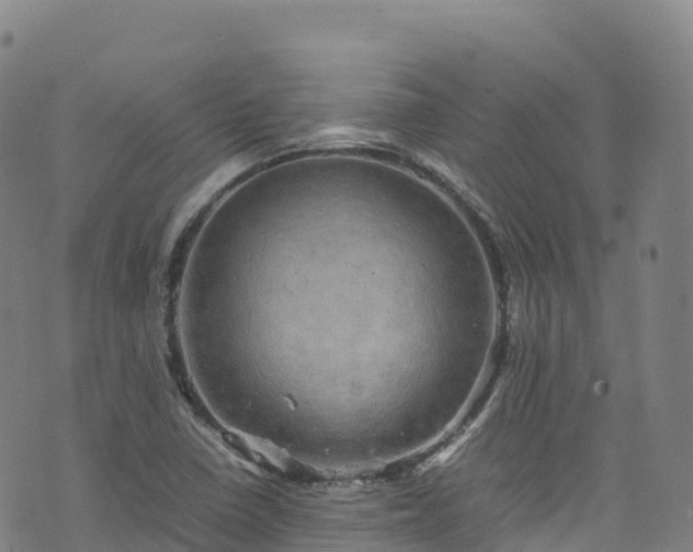 X0000074291410200609011355