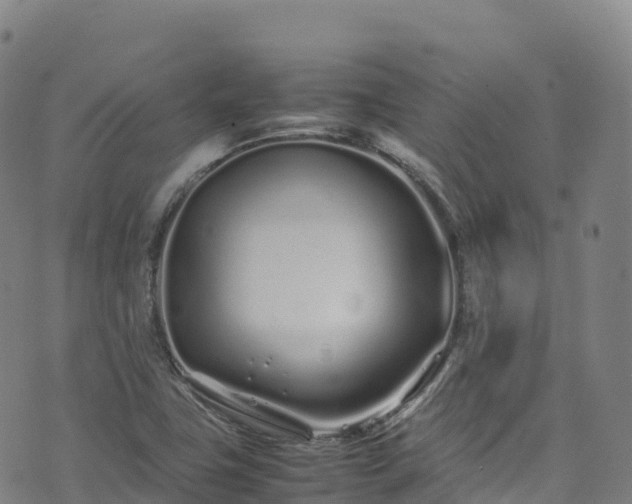 X0000074291411200609011355