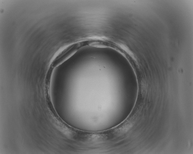 X0000074291412200609011355