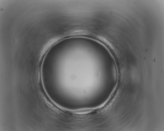 X0000074291413200609011355