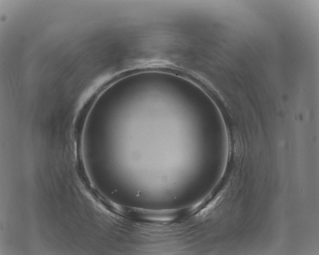 X0000074291414200609011355