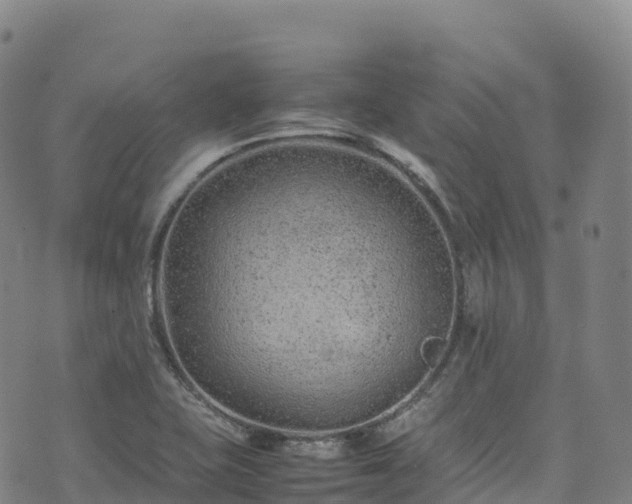 X0000074291415200609011355