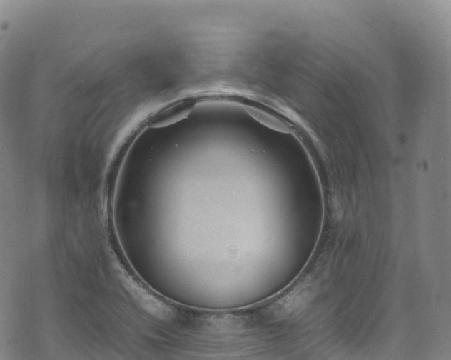 X0000074291416200609011355