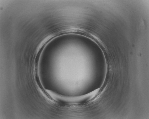 X0000074291418200609011355