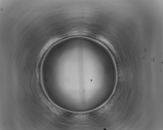 X0000074291419200609011355