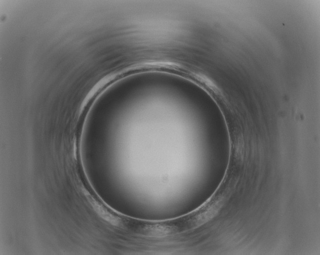 X0000074291420200609011355