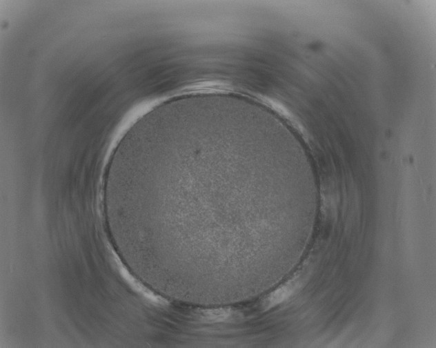 X0000074291421200609011355