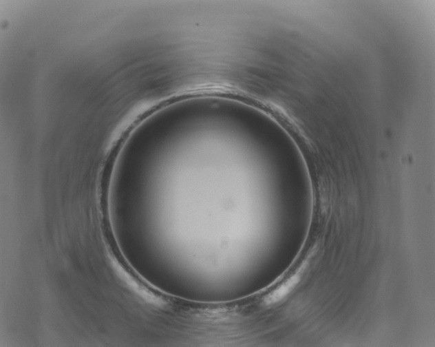 X0000074291422200609011356