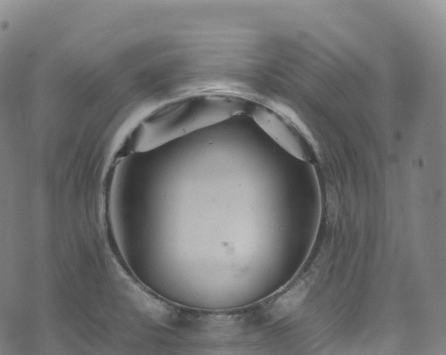 X0000074291424200609011356