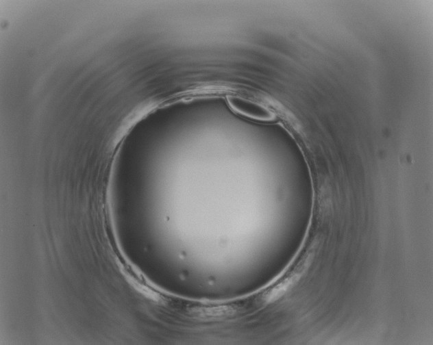 X0000074291425200609011356