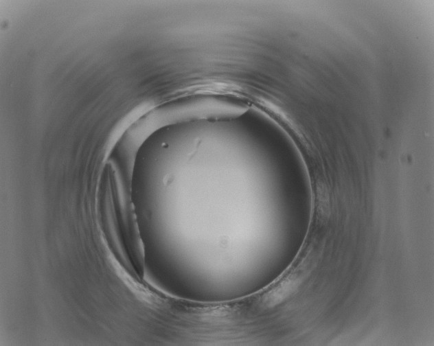 X0000074291426200609011356