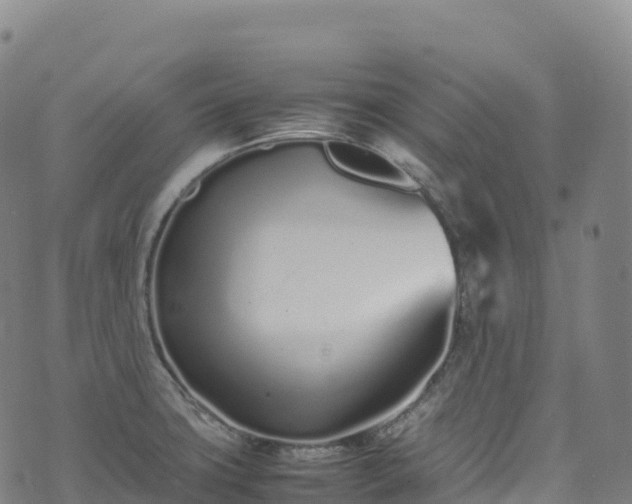 X0000074291427200609011356