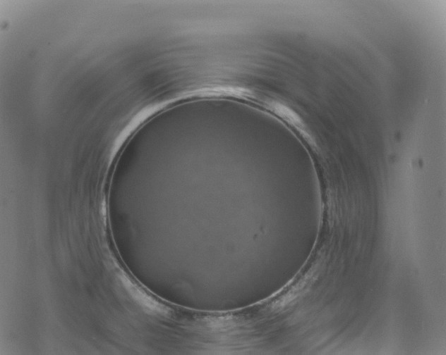 X0000074291428200609011356