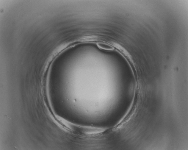 X0000074291429200609011356