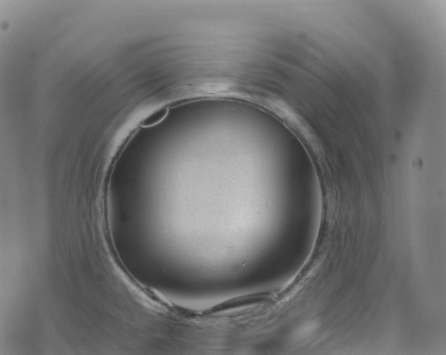 X0000074291432200609011356