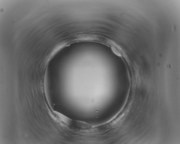 X0000074291433200609011356