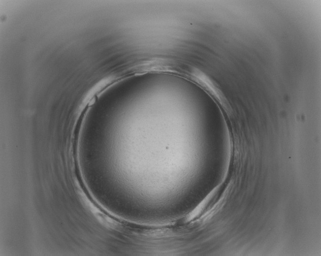 X0000074291434200609011356