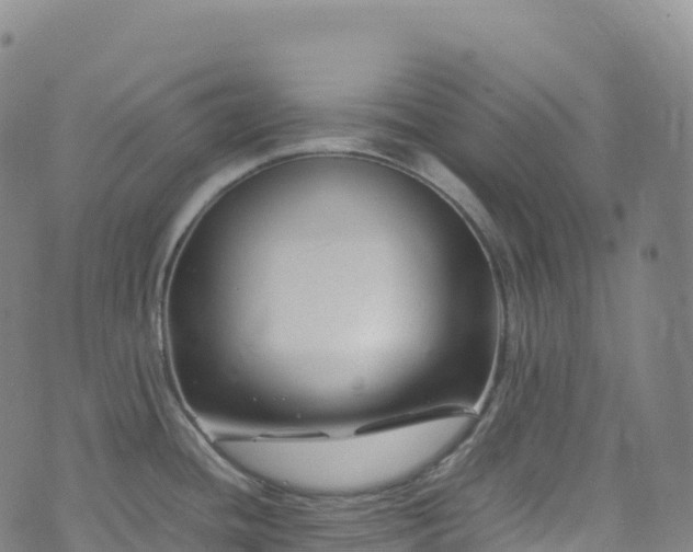 X0000074291436200609011356