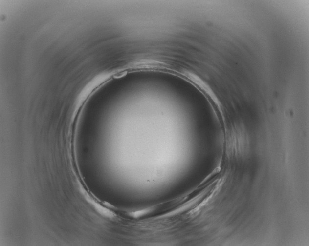 X0000074291437200609011356