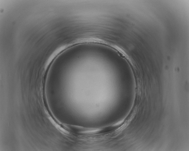 X0000074291438200609011356