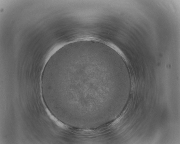 X0000074291439200609011356